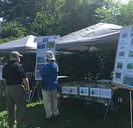 Grassroots Conservation Efforts in Local Communities