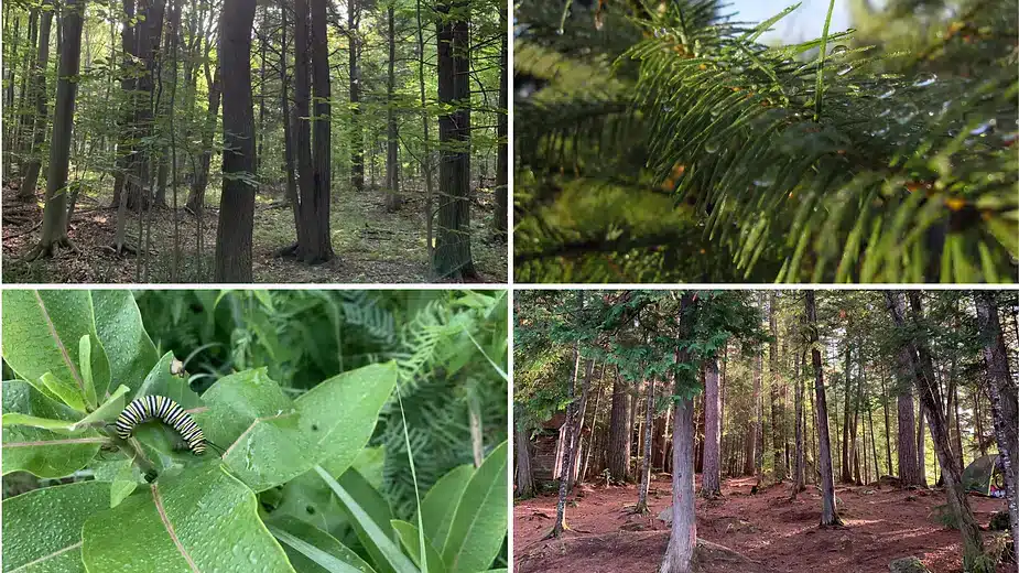 En cette saison automnale, TerraHumana Solutions célèbre la protection des espaces naturels