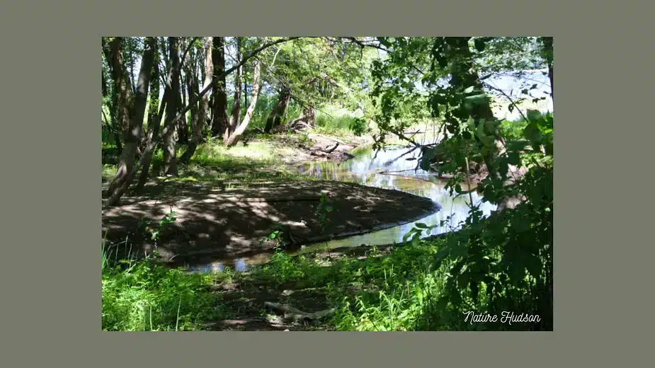 TerraHumana Solutions Completes Executive Summary – An ecological assessment in Hudson, Quebec